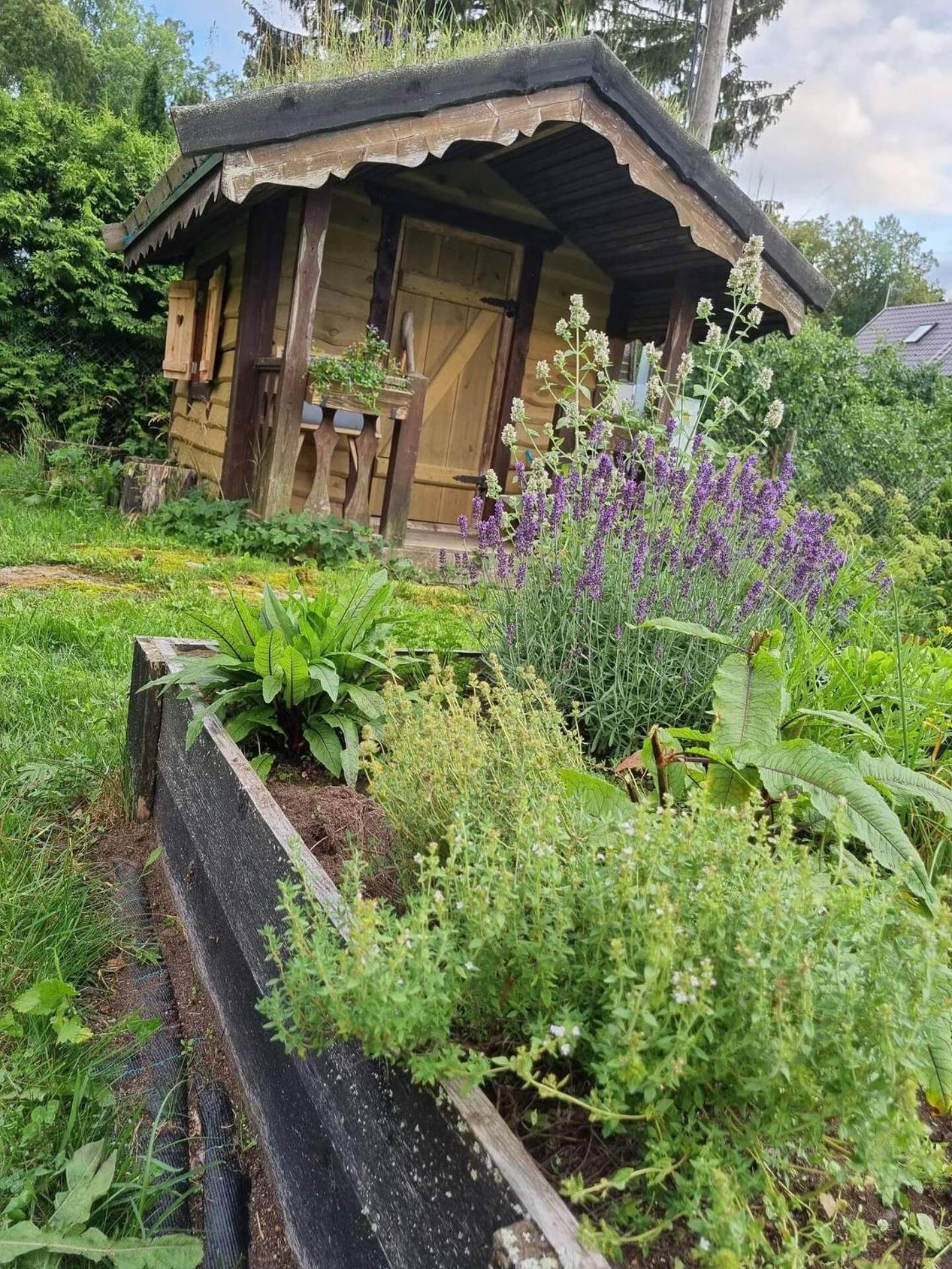 Norwegian Saunahouse Haapse Exterior foto
