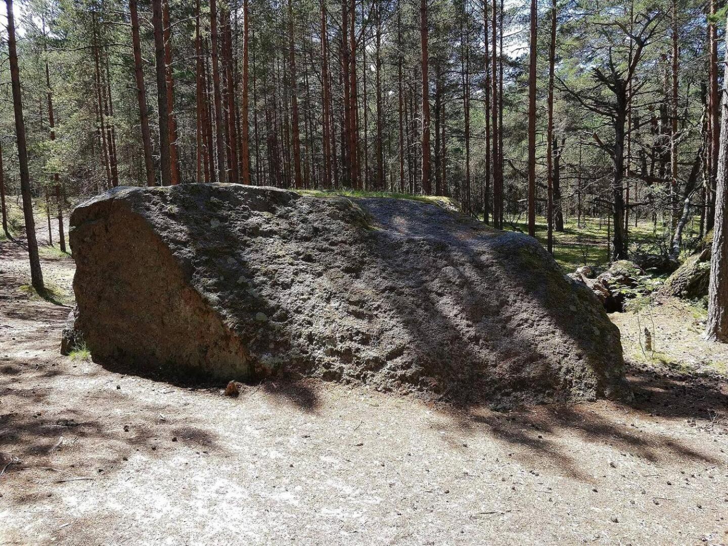 Norwegian Saunahouse Haapse Exterior foto